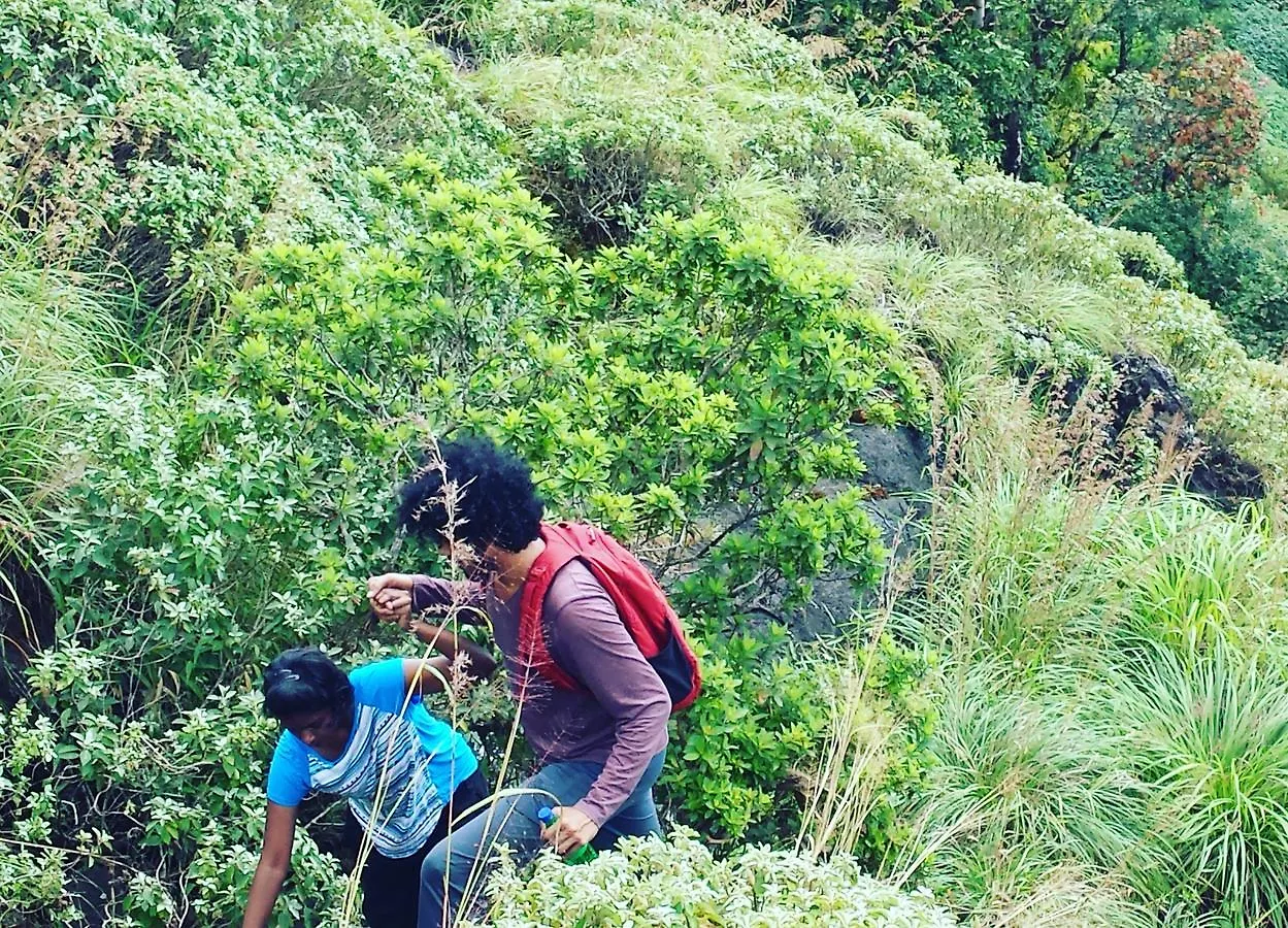 Resort Paithal Mount Cottage Paithalmala