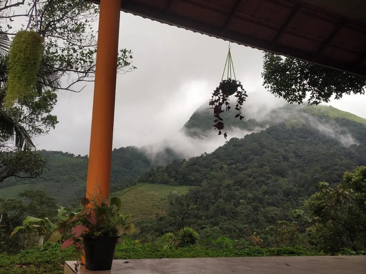 Paithal Mount Cottage Paithalmala